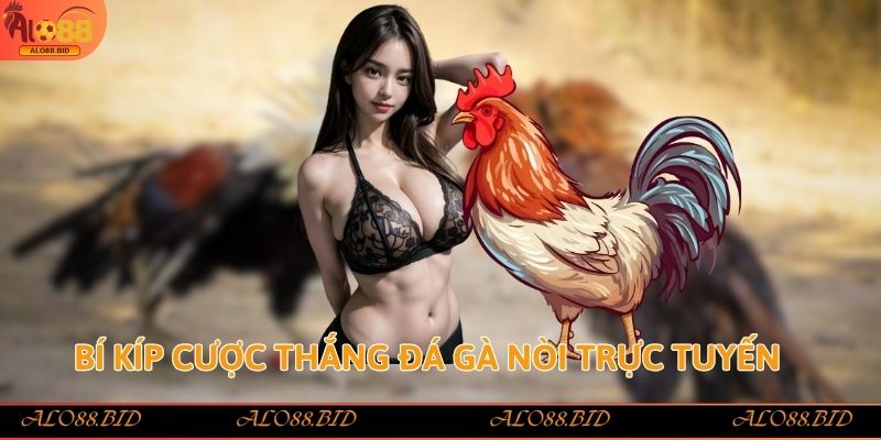 Đá Gà Nòi Alo88 – Trải Nghiệm Đỉnh Cao Cho Tín Đồ Sảnh Gà 3 Bí kíp cược thắng đá gà nòi trực tuyến