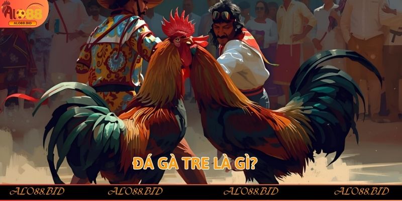 Đá Gà Tre Alo88 – Sảnh Cược Đẳng Cấp Với Tỷ Lệ Thưởng Cao 1 Đá gà tre là gì?