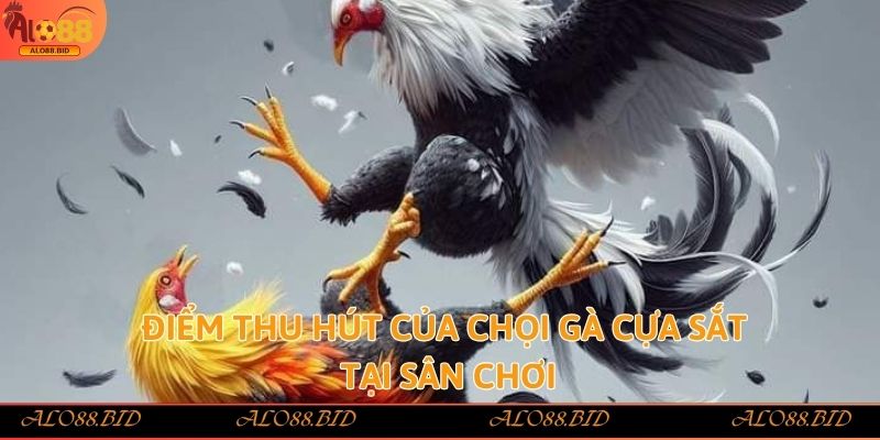 Đá Gà Cựa Sắt Alo88 – Làm Giàu Nhanh Chóng Từ Đam Mê Đá Gà 3 Điểm thu hút của chọi gà cựa sắt tại sân chơi