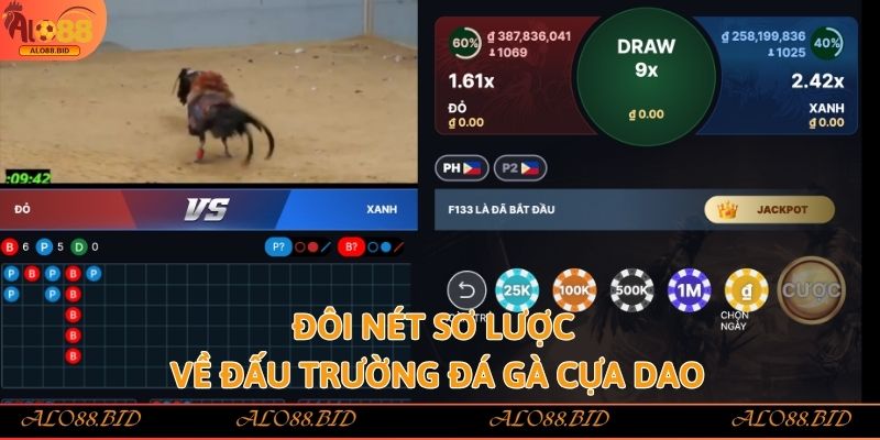 Đá Gà Cựa Dao – Kịch Tính, Mãn Nhãn Từng Nhát Cựa Tại Alo88 1 Đôi nét sơ lược về đấu trường đá gà cựa dao