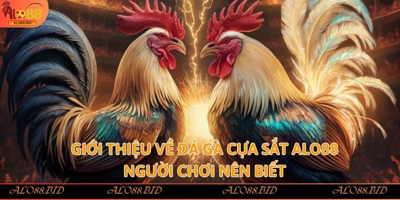 Đá Gà Cựa Sắt Alo88 – Làm Giàu Nhanh Chóng Từ Đam Mê Đá Gà 1 Giới thiệu về đá gà cựa sắt alo88 người chơi nên biết