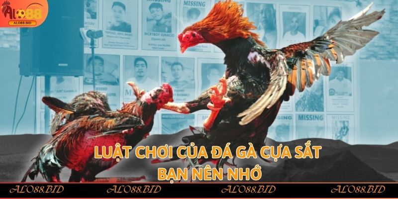 Đá Gà Cựa Sắt Alo88 – Làm Giàu Nhanh Chóng Từ Đam Mê Đá Gà 2 Luật chơi của đá gà cựa sắt bạn nên nhớ