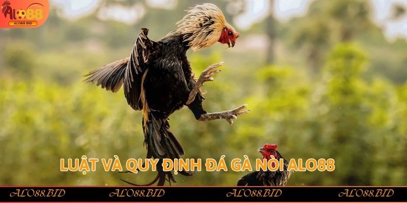 Đá Gà Nòi Alo88 – Trải Nghiệm Đỉnh Cao Cho Tín Đồ Sảnh Gà 2 Luật và quy định đá gà nòi Alo88